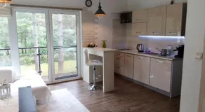 forest-house lt - Image 3