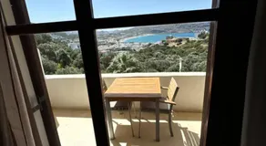 Olive Grove - Image 4