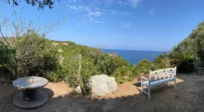 Castelia - Image 5