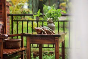 Forest Inn (Danzhou Liangyuan Botanical Garden Branch) - Image 4