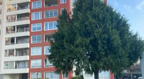 Departamento plaza club Temuco - Image 3