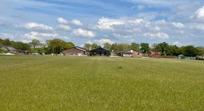 de Loeiende koe - Image 5