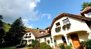 Weinberghof Ilkerl-Luf - Image 3