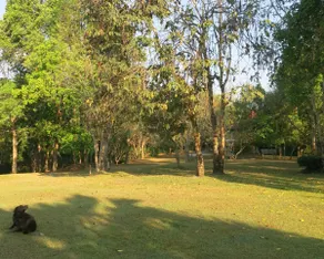 Suan Kaew Park - Image 5