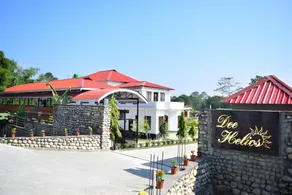 Dee Helios Assam - Image 2