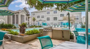 Resort Style Apt/Home in Houston Medical Centre - Image 3