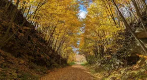 Stay In Ohiopyle near the GAP Trail - Ohiopyle, PA - Image 4