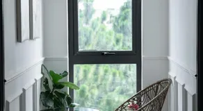 Camellia - Image 4