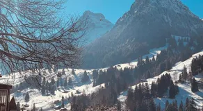 Blüemlisalp-Huus im Kiental - Image 5