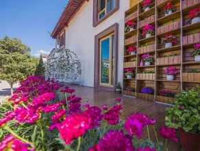 Qingxi Sunny Resort Beauty Inn • Lijiang Ancient City Store - Image 2