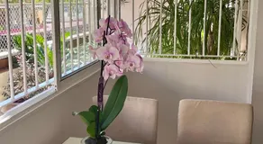 Apartamento con gran terraza jardín cerca del centro - Image 2