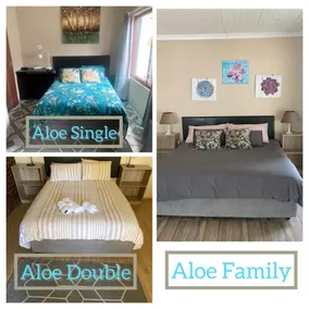 Aloe Guest Rooms - Image 1