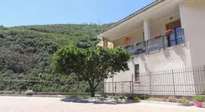 Gli Agrumi - Image 5