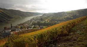 Gutsschänke Sennerhof - Image 4
