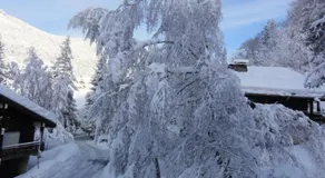 Appartement confortable à Megève - 60 m² - vue sur montagnes - Image 2