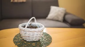 Apartma Smučka pod Roglo - Image 1