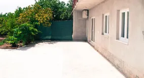 Iva - Image 5