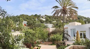 La Pandilla Ibiza - Image 5