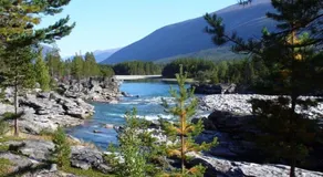 Furuly Camping - Image 5