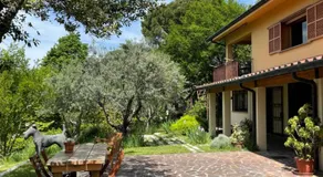Botanea Guest House - Image 2