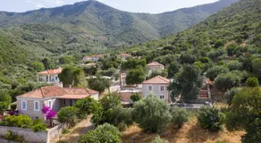Popi s house - Image 4