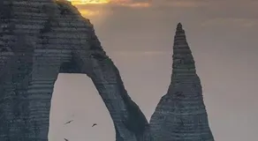 La Carola - Image 4