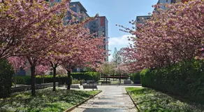 AMA Milano Intero appartamento zona Bicocca - Image 5