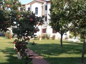 Villa Linet Garden - Image 3