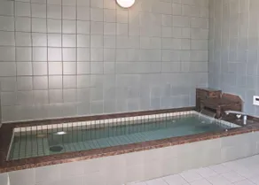 Echigoyuzawa Onsen Hotel Aster - Image 3