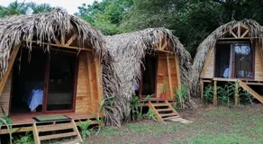 Bodhi Santa Catalina - Image 5