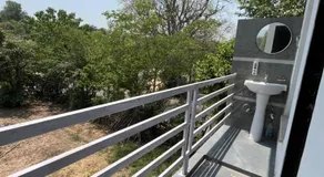 Hinaya Greens - Image 3