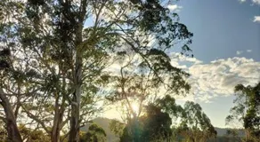 Lambs Valley Guest House. - Image 4
