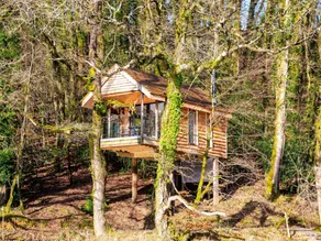 Finest Retreats - The Tree House - Eco-Friendly, Back to Nature Experience - Image 5