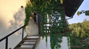 Country House Roman - Image 4