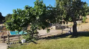 Casas Rurales Escobar & Jerez - Image 5