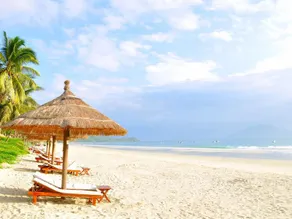 TTC Resort Doc Let - Image 5