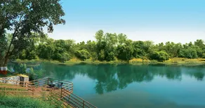 Wollywood, Wada - Image 4