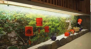 Shexia Liyu Hot Spring - Image 2