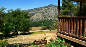 The Quail's Nest - Image 2