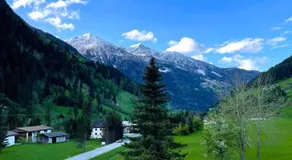 Tattoo PENSION mit Restaurant und Tattoo-Studio - Image 5