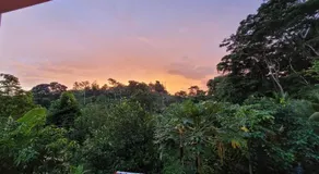Greenhouse - Image 4