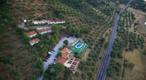 Aparthotel Las Palomas - Image 5