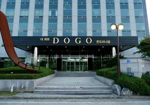 The WITT DOGO - Image 5