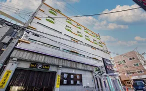 Daejeon Jungli Phoenix - Image 3