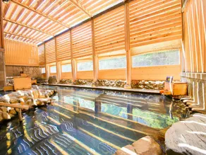 Ooedo Onsen Monogatari Wanwan Resort Nasushiobara - Image 3