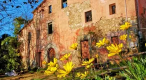 Hidden Garden Haven for 7 People - Image 3