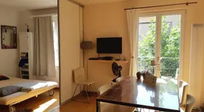 Central quiet and cosy apartment near Hallenstadion - Image 2