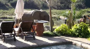 Khandizwe Kruger Villa - Image 3