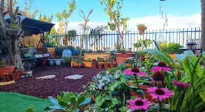 Pleasant Cozy Sunny Room with Garden - Image 5