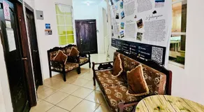 Sea Lion Suite 02 - Image 5